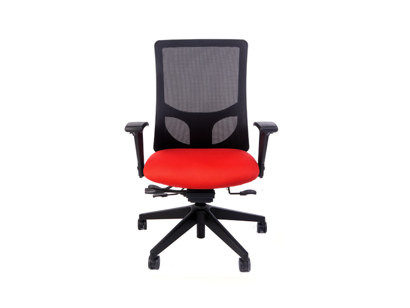 RFM Carmel High Back Executive Chair w/Neck Pillow